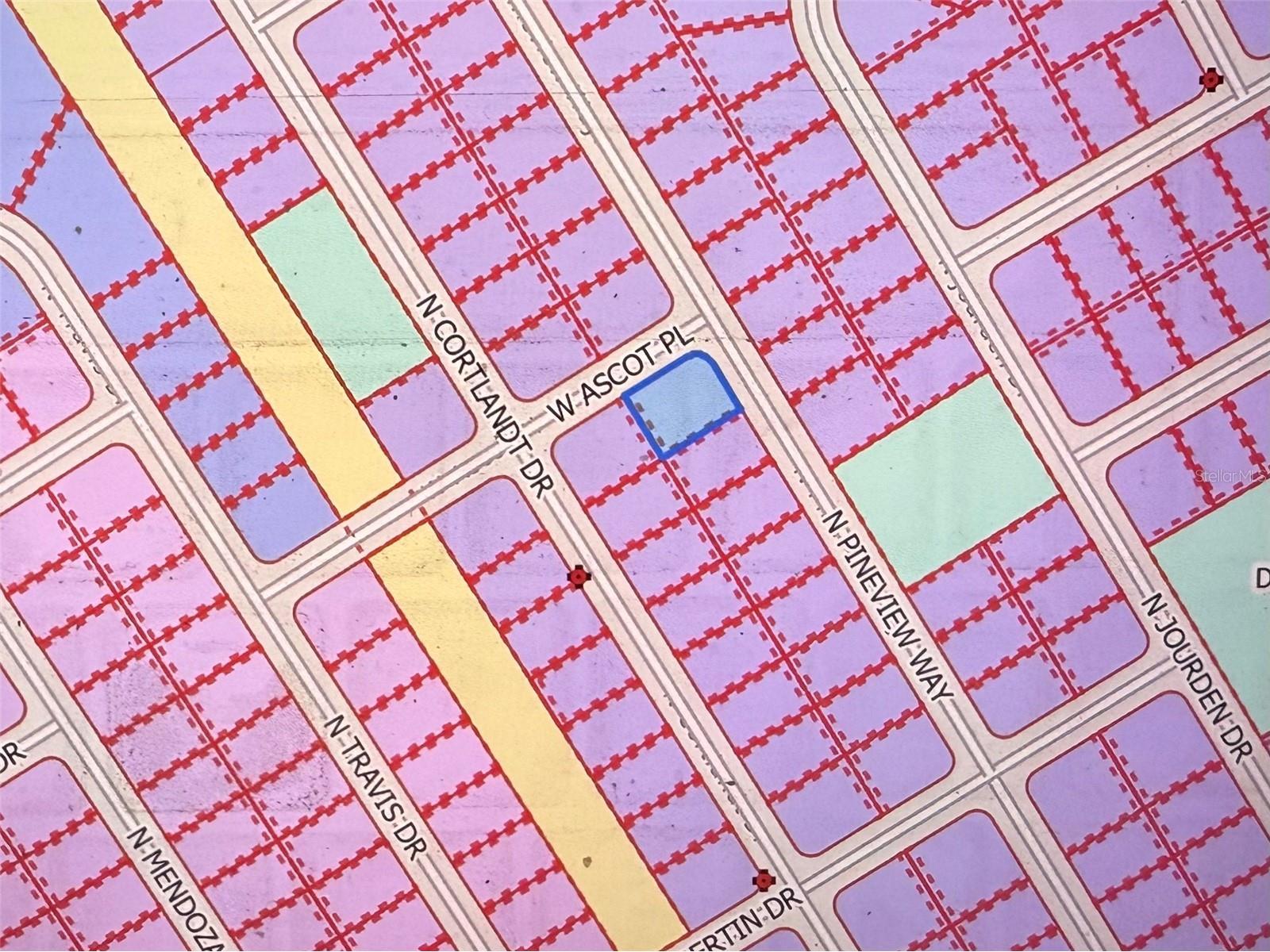 9540 N Pineview Way Citrus Springs FL 34434 OM716607 image3