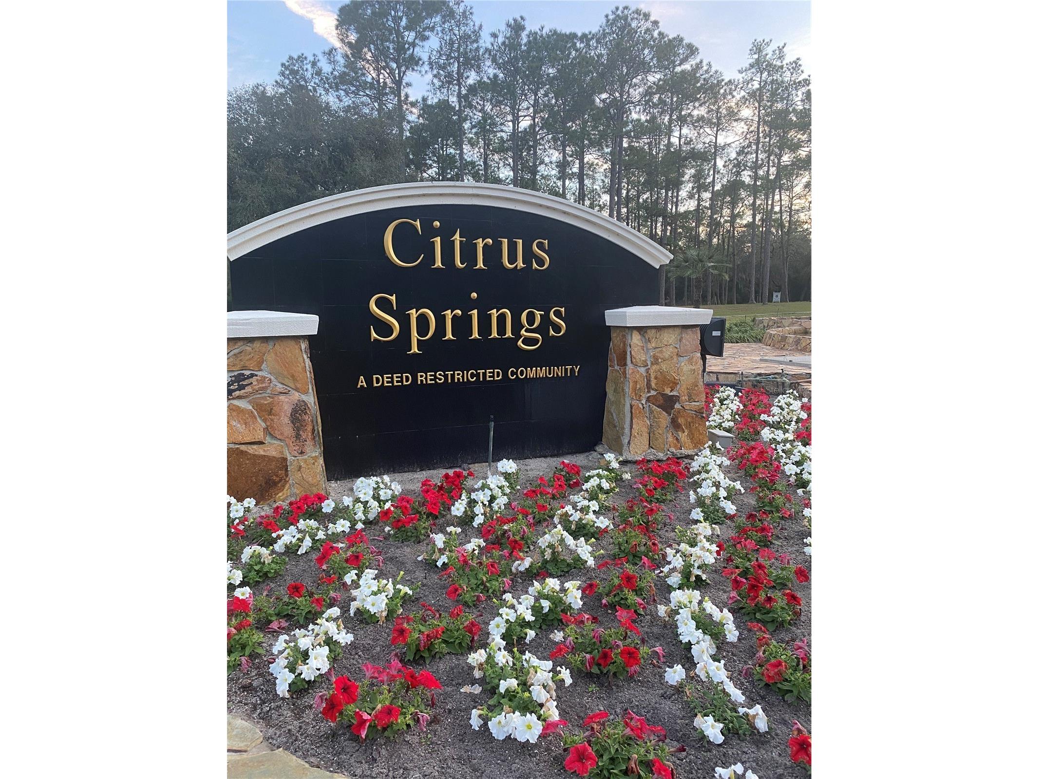 9540 N Pineview Way Citrus Springs FL 34434 OM716607 image4