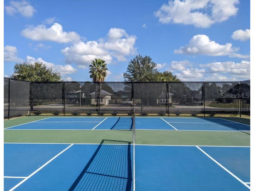 9540 SE 49th Terrace Webster FL 33597 G5102732 image41