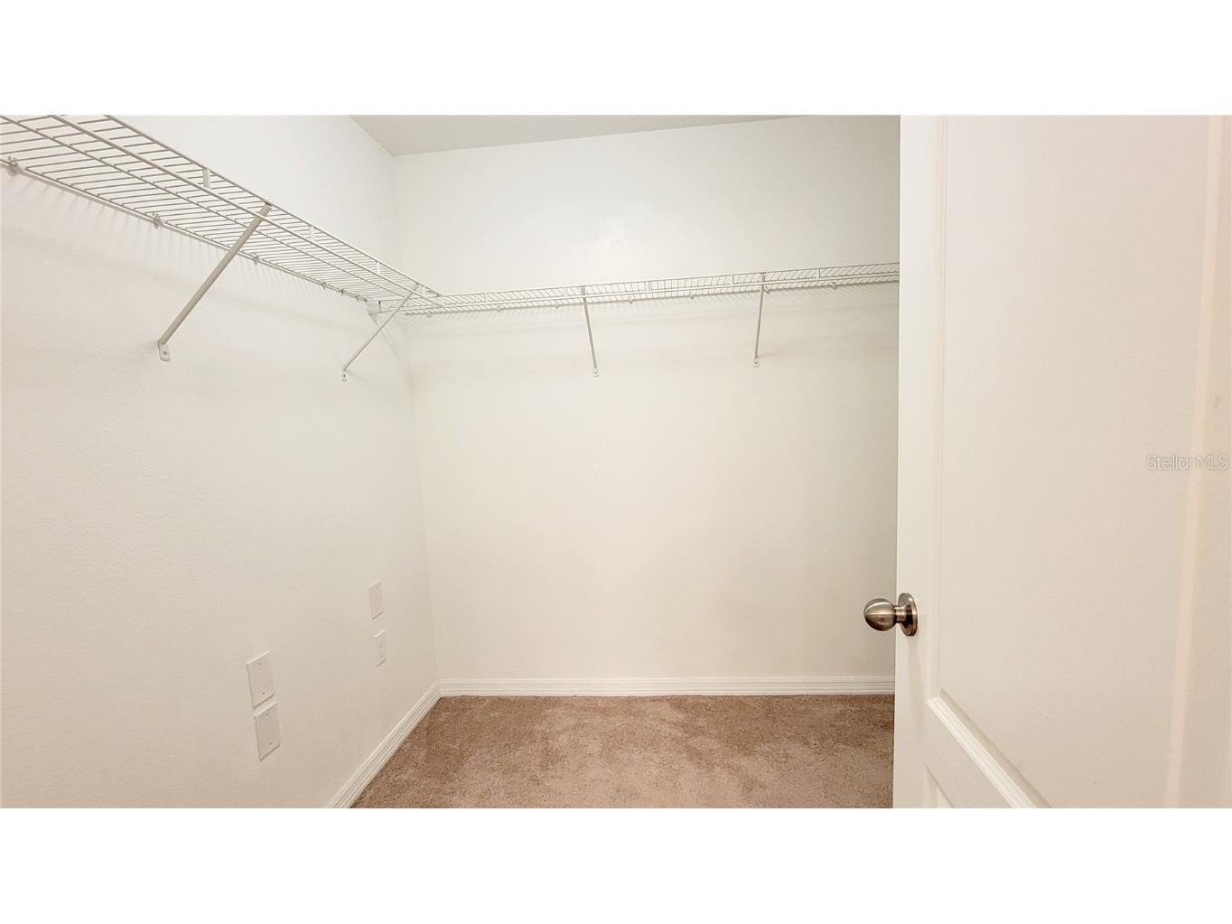 9540 Trumpet Vine Loop Trinity FL 34655 TB8432878 image28