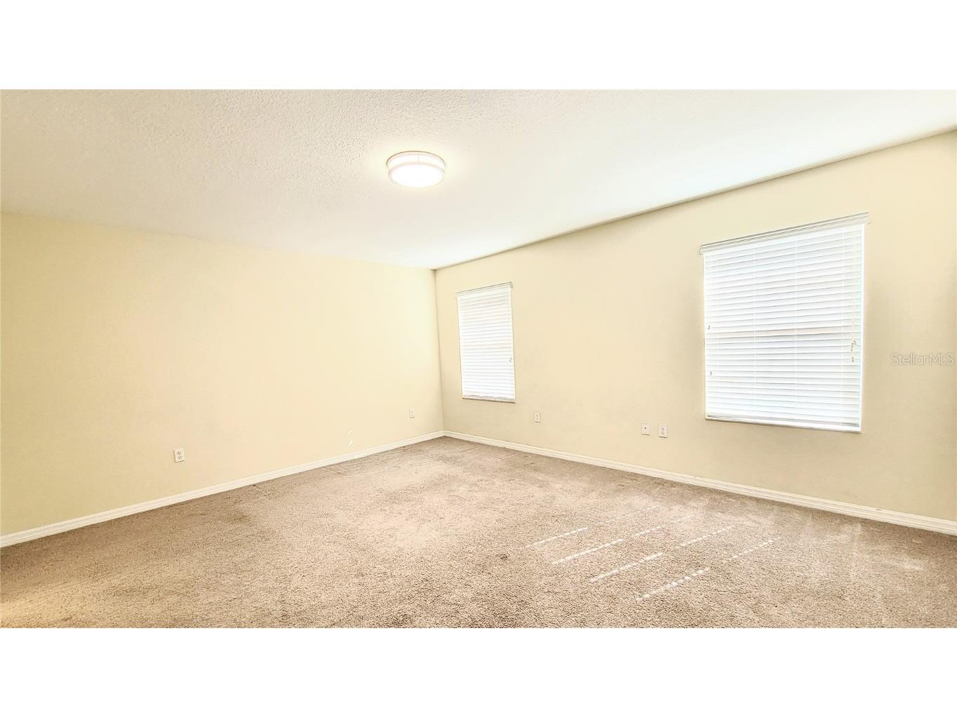 9540 Trumpet Vine Loop Trinity FL 34655 TB8432878 image31