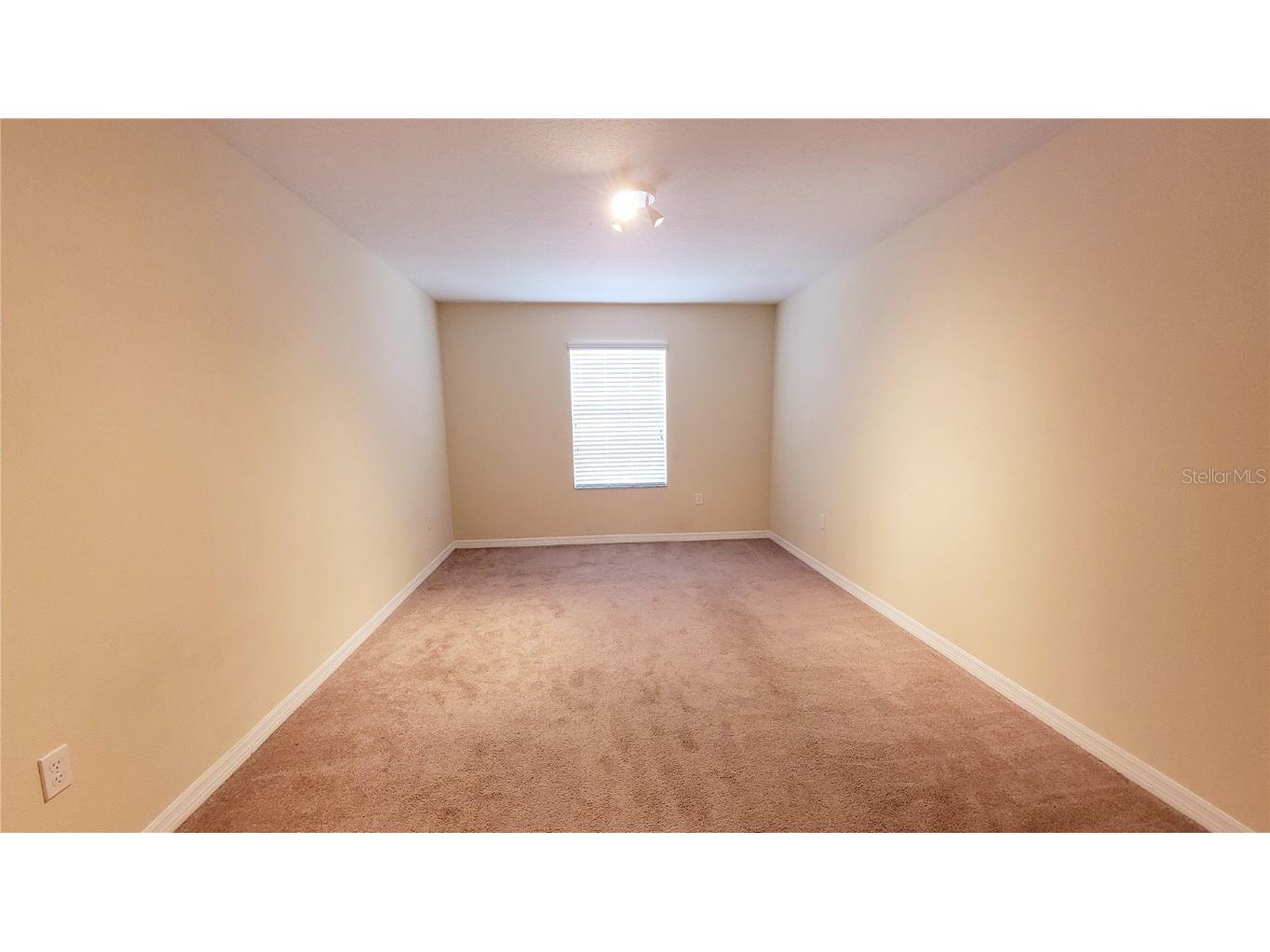 9540 Trumpet Vine Loop Trinity FL 34655 TB8432878 image40