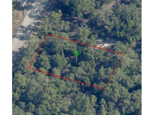 9541 N Wallace Way Citrus Springs FL 34433 OM682846 image1