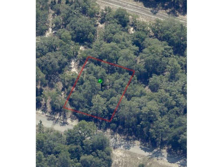 9541 N Wallace Way Citrus Springs FL 34433 OM682846 image3