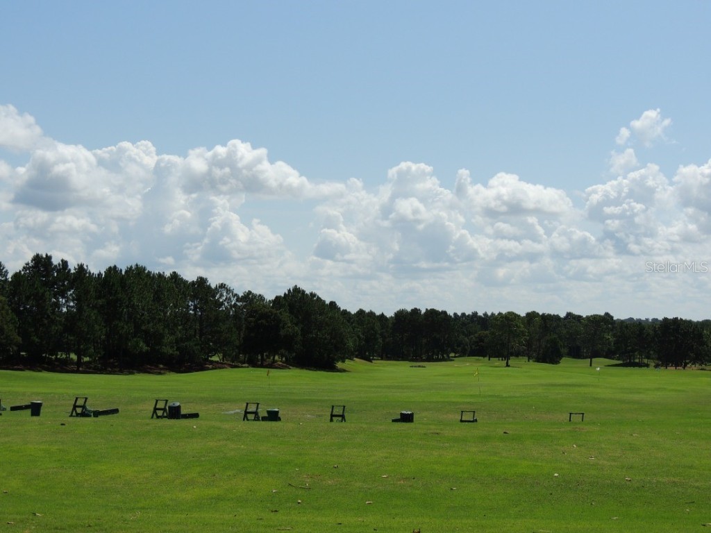 9541 SE 124th Loop Summerfield FL 34491 OM711030 image67