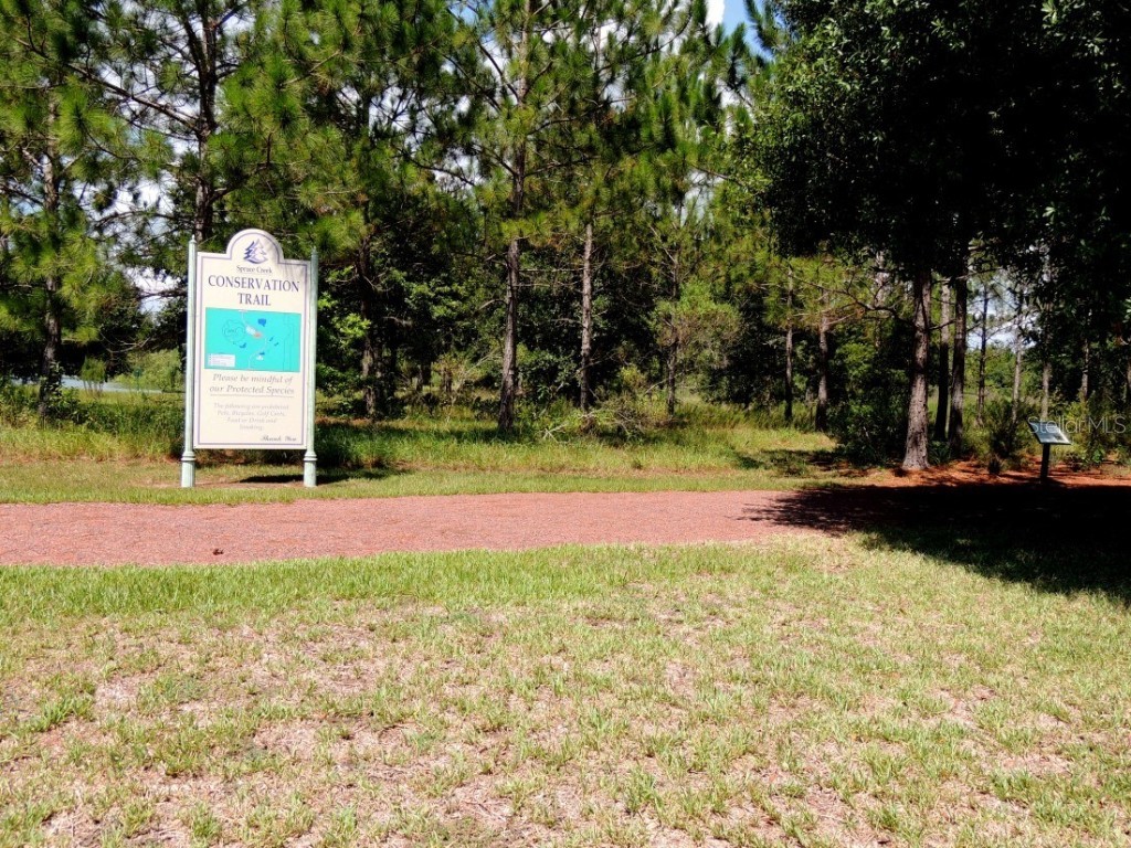 9541 SE 124th Loop Summerfield FL 34491 OM711030 image71