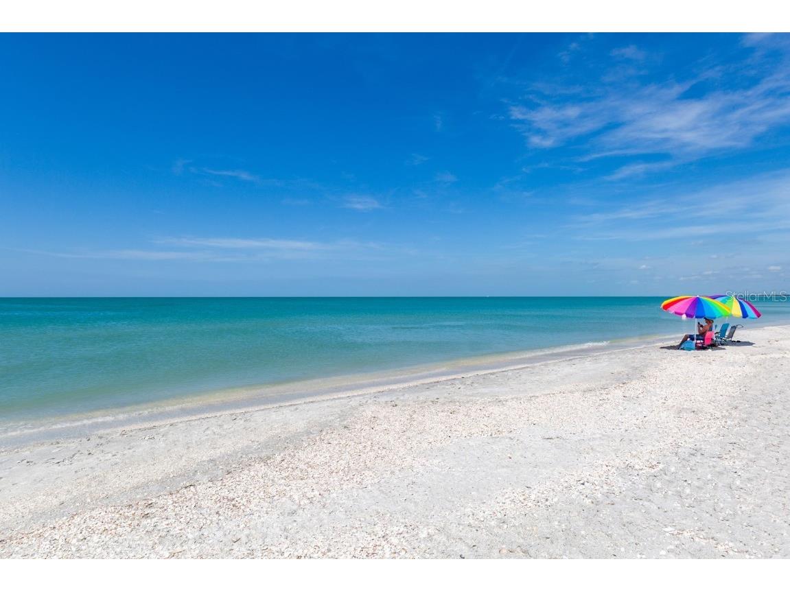 9542 Spring Circle Port Charlotte FL 33981 N6137703 image46