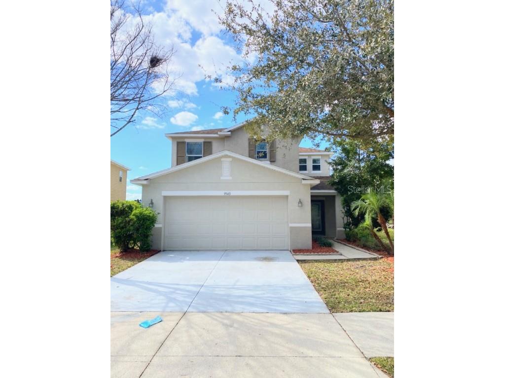 9543 Simeon Drive Land O Lakes FL 34638 U8191925 image1