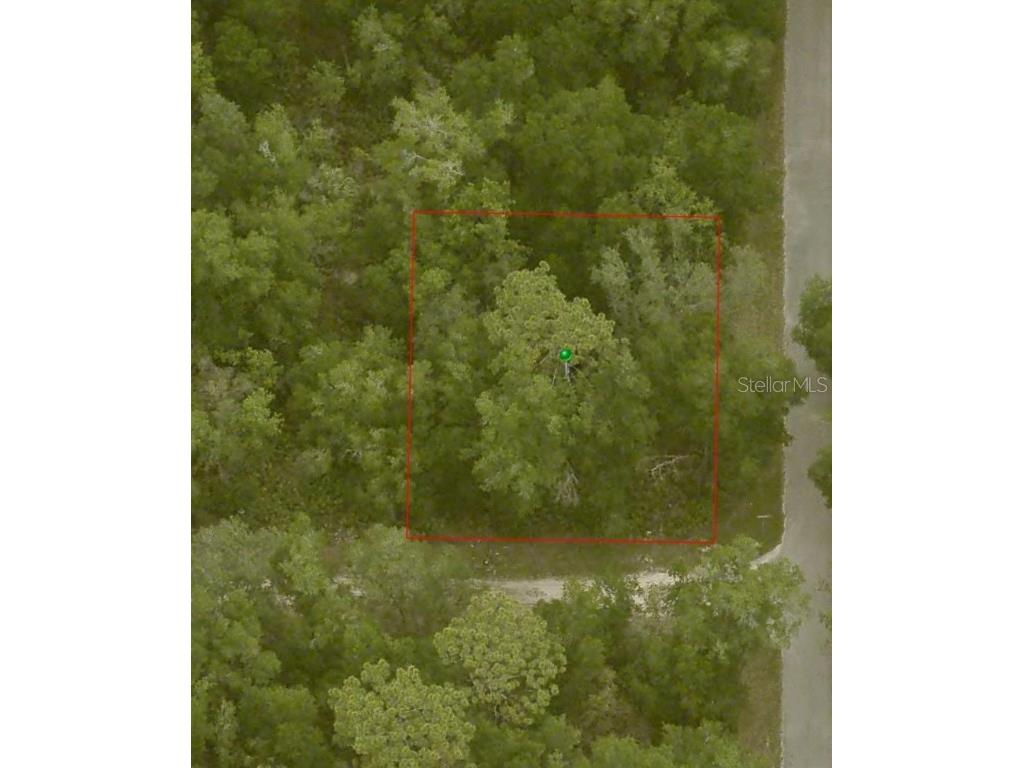 9543 W Tennessee Lane Crystal River FL 34428 U8242689 image10