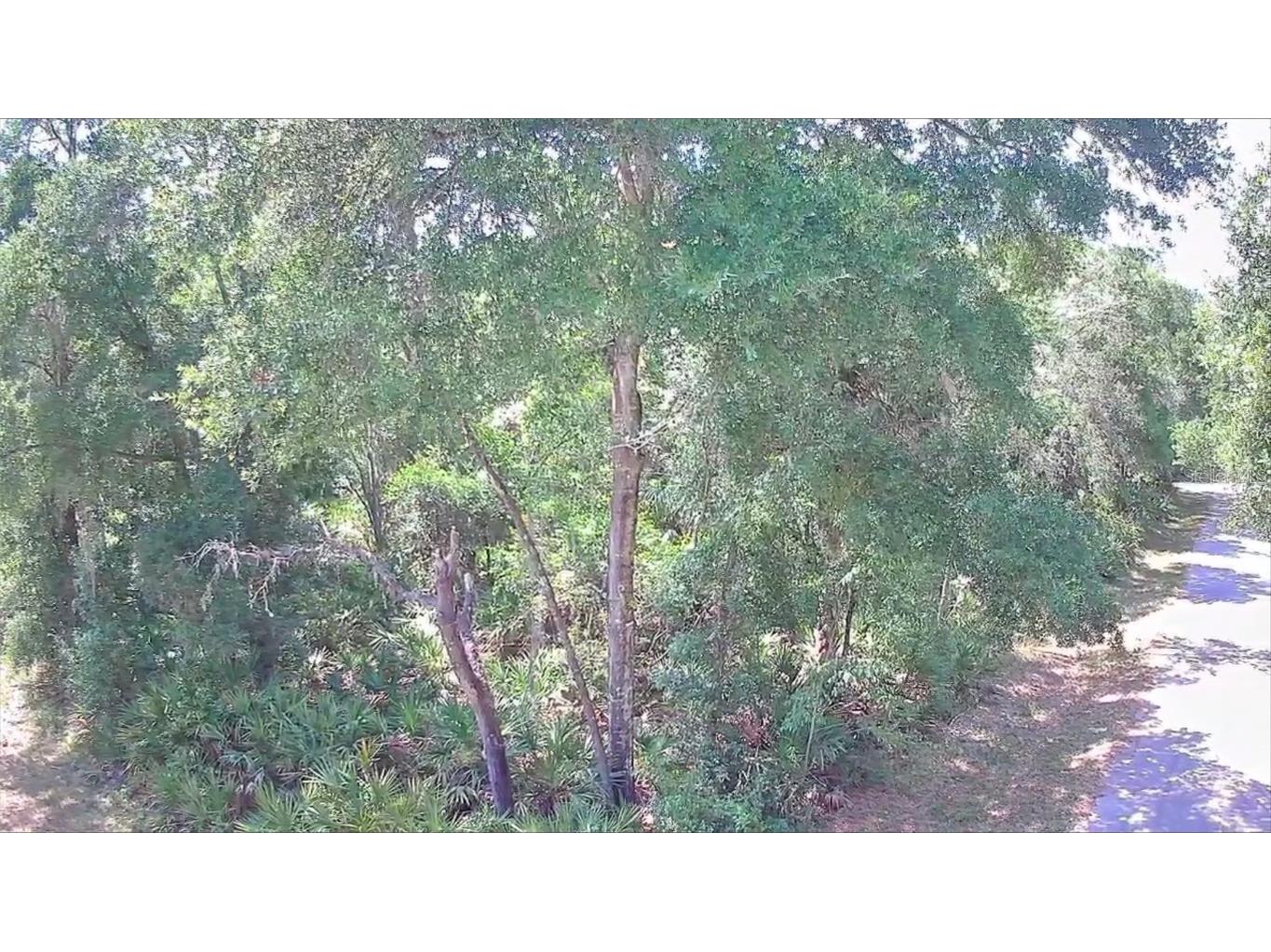 9543 W Tennessee Lane Crystal River FL 34428 U8242689 image11