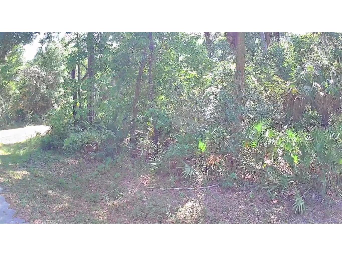 9543 W Tennessee Lane Crystal River FL 34428 U8242689 image4