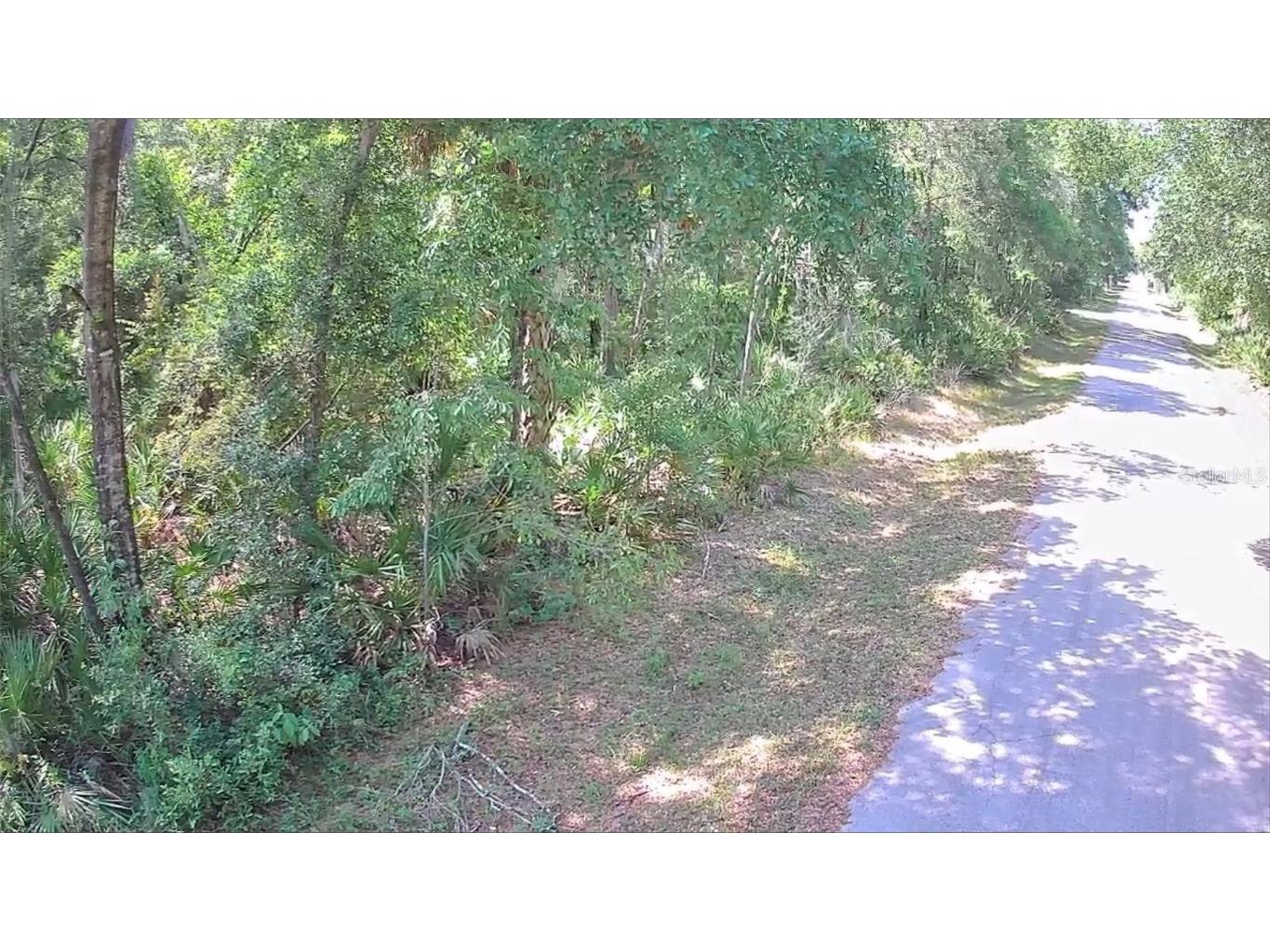 9543 W Tennessee Lane Crystal River FL 34428 U8242689 image5