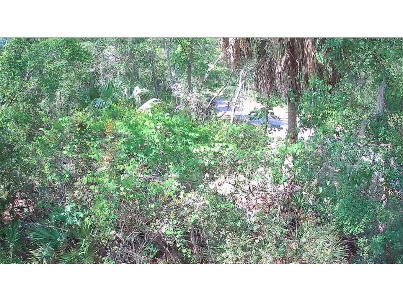 9543 W Tennessee Lane Crystal River FL 34428 U8242689 image6