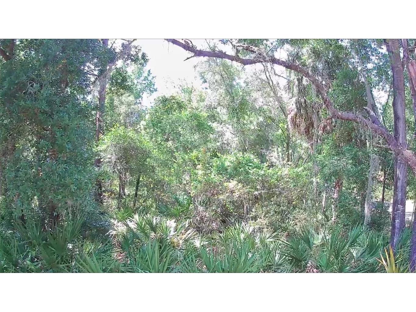 9543 W Tennessee Lane Crystal River FL 34428 U8242689 image7