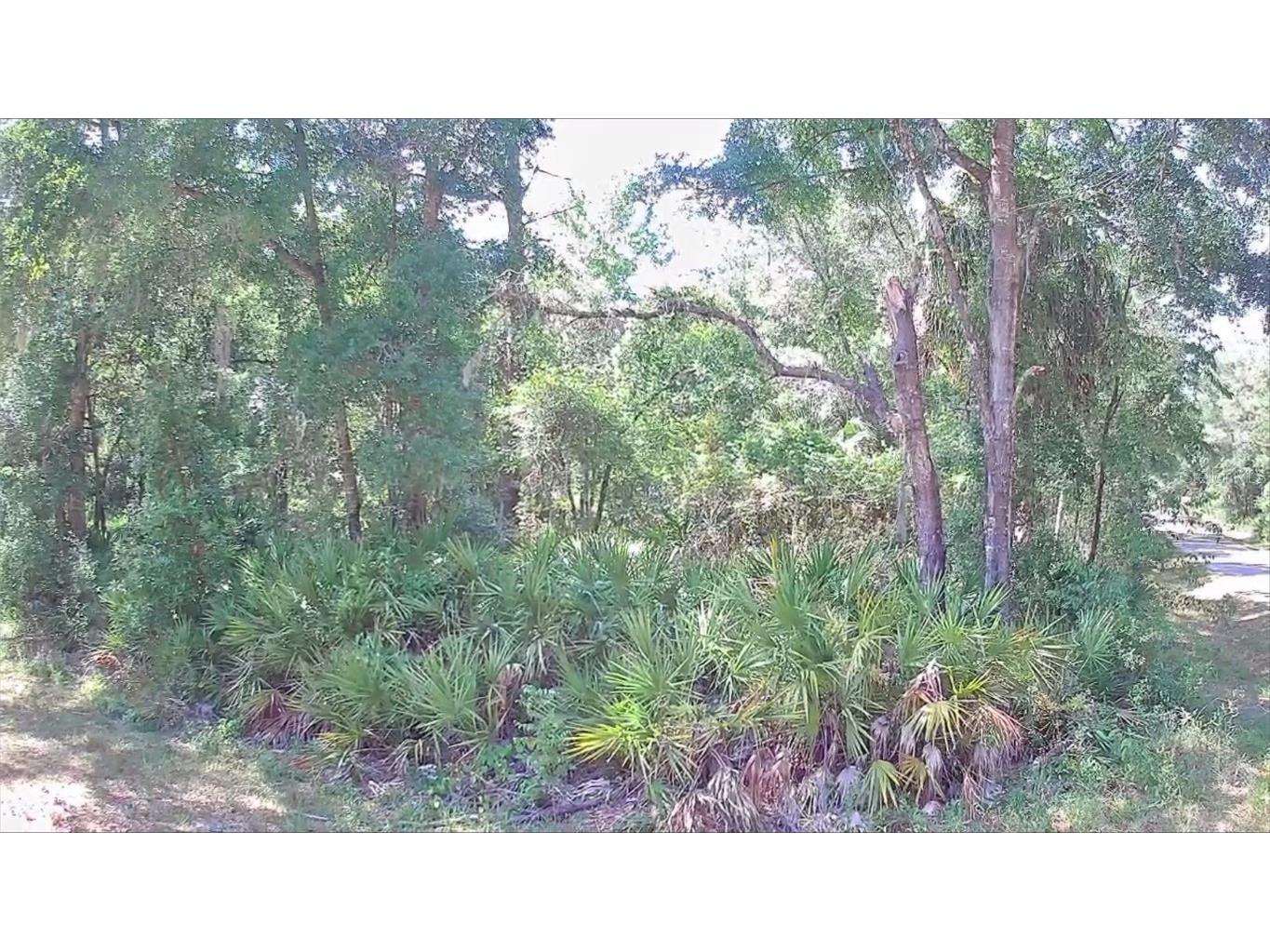 9543 W Tennessee Lane Crystal River FL 34428 U8242689 image9