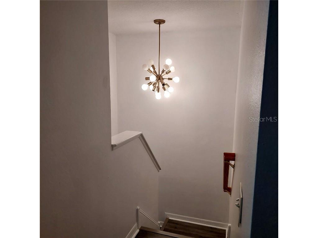 9544 Charlesberg Drive Tampa FL 33635 TB8429171 image22