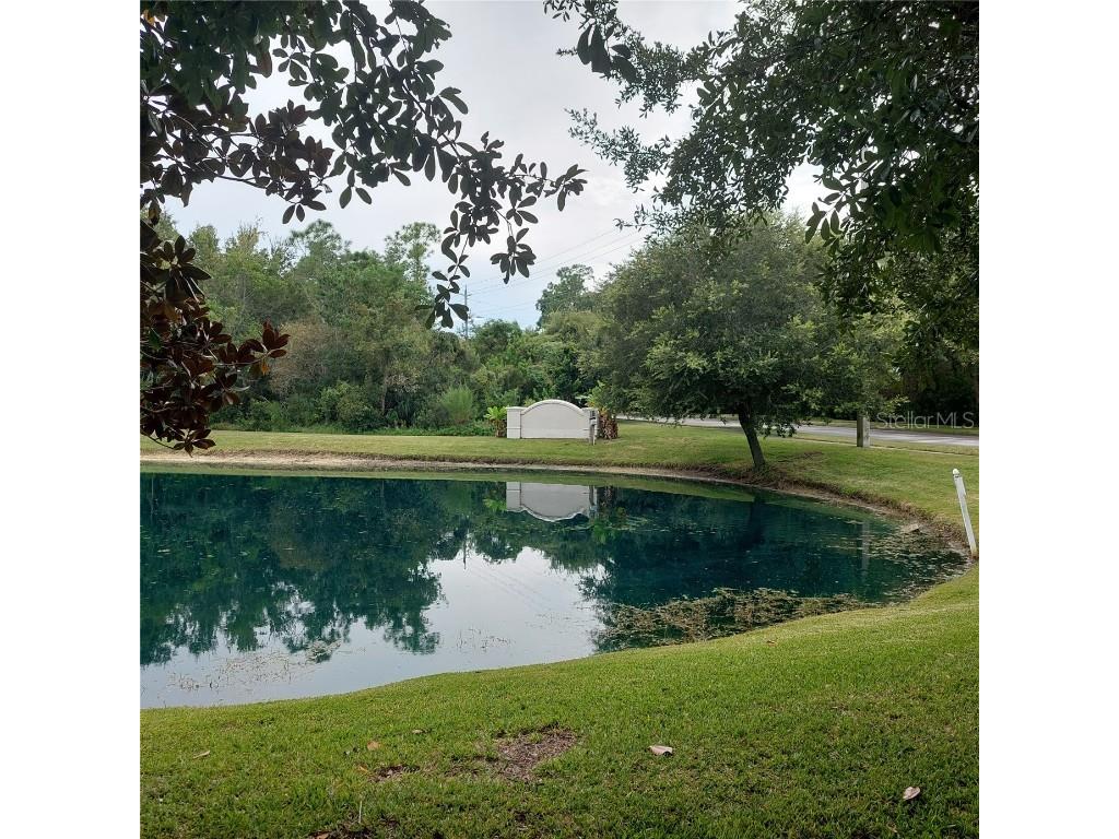 9544 Charlesberg Drive Tampa FL 33635 TB8429171 image29