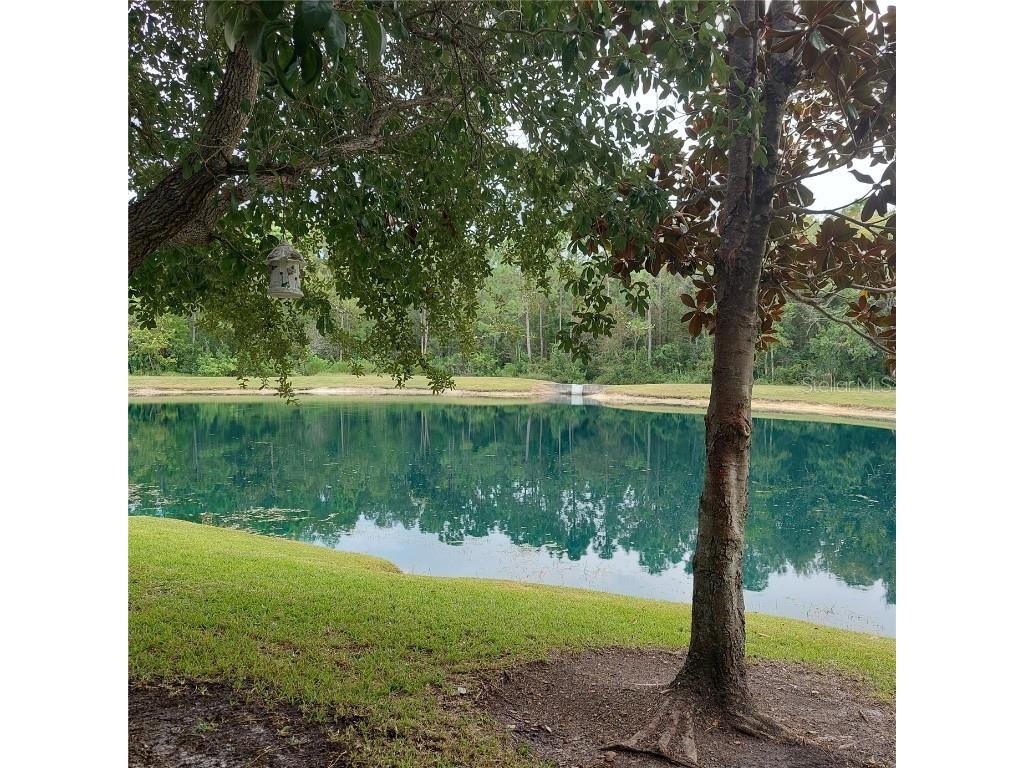 9544 Charlesberg Drive Tampa FL 33635 TB8429171 image30