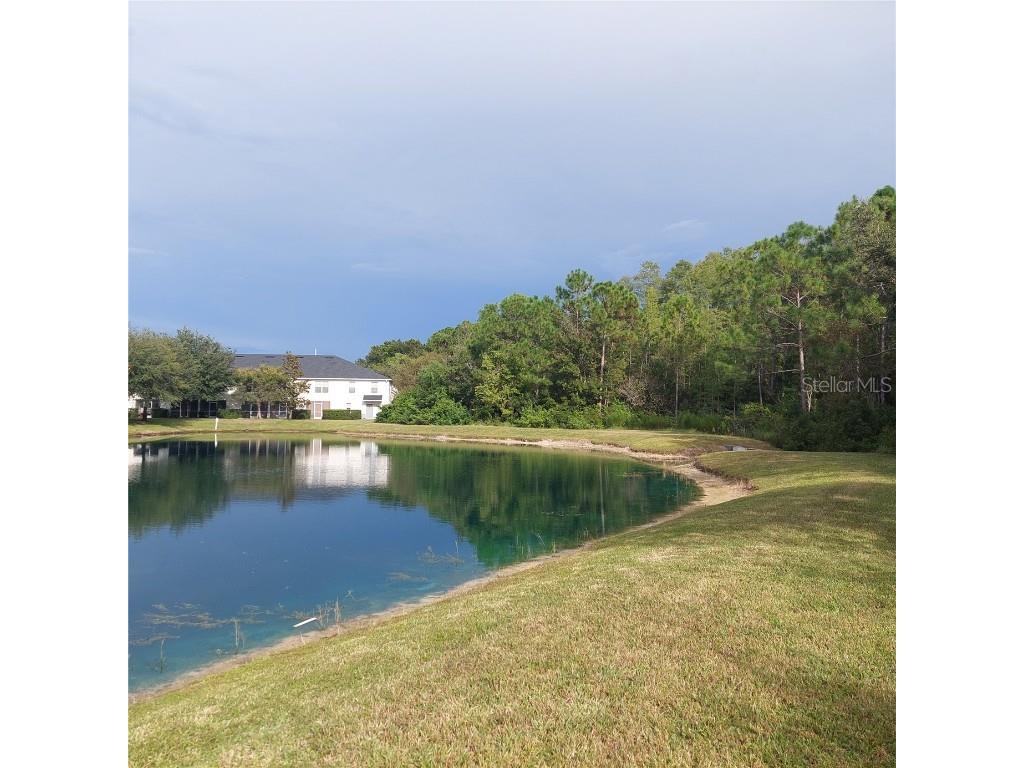 9544 Charlesberg Drive Tampa FL 33635 TB8429171 image34
