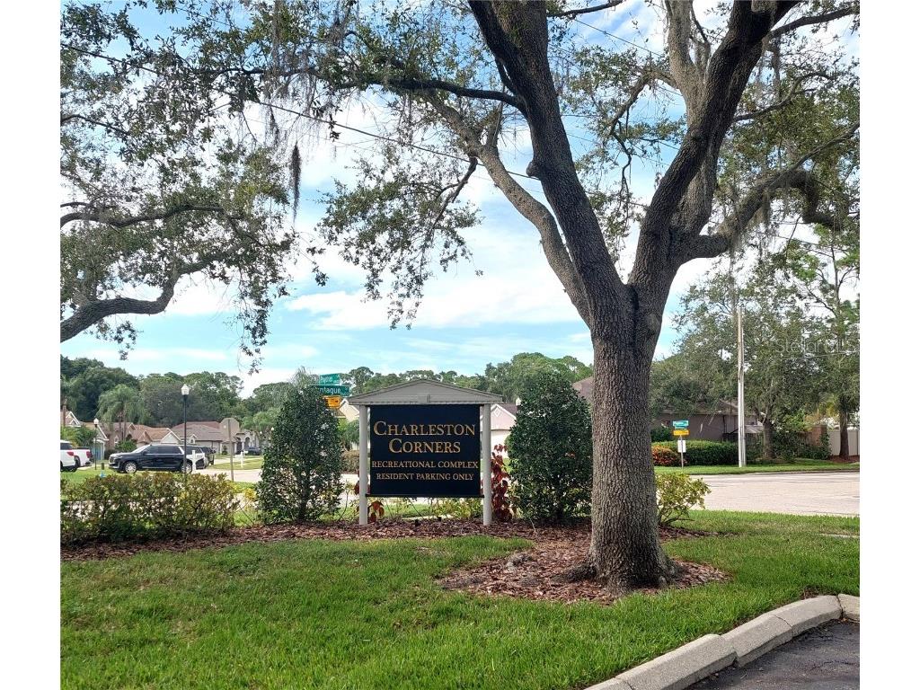 9544 Charlesberg Drive Tampa FL 33635 TB8429171 image41