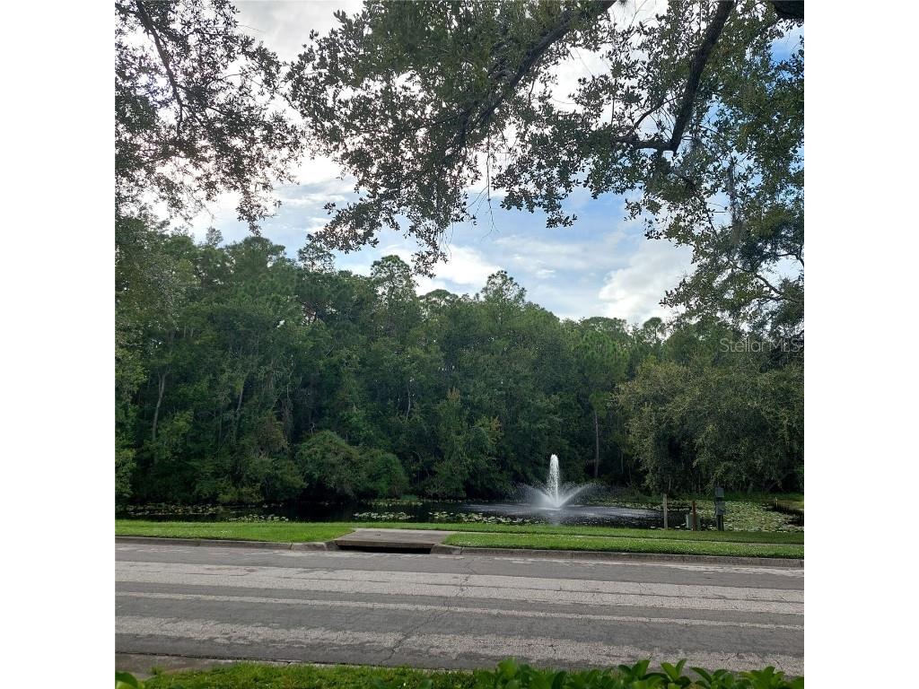 9544 Charlesberg Drive Tampa FL 33635 TB8429171 image42