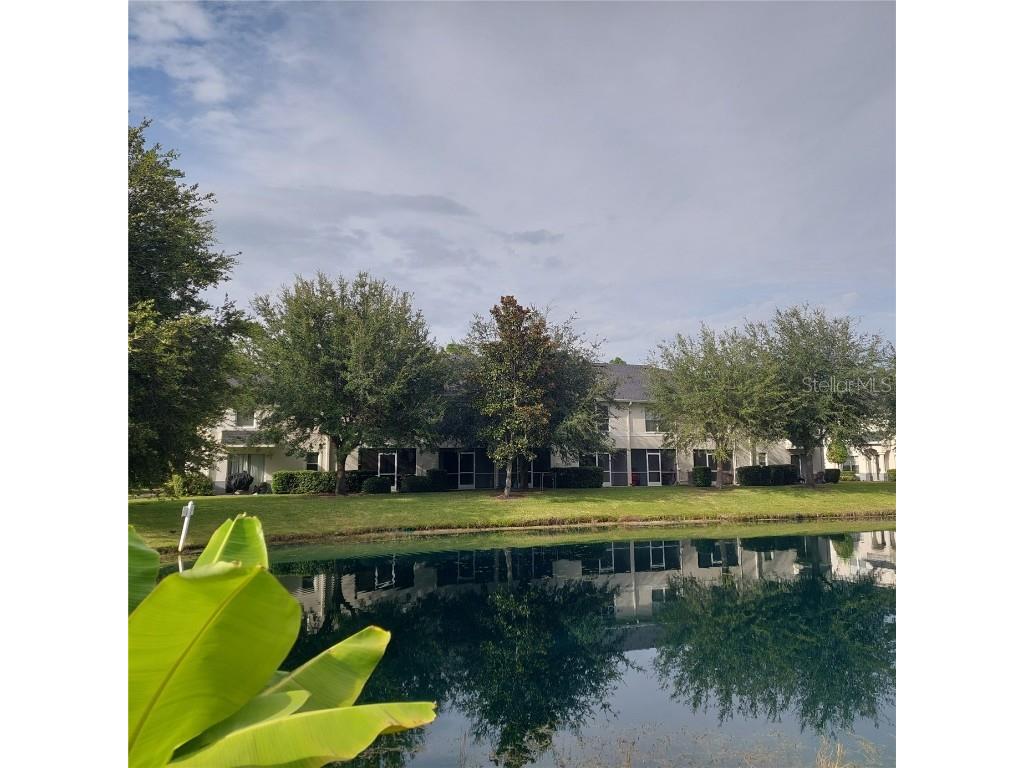 9544 Charlesberg Drive Tampa FL 33635 TB8429171 image43