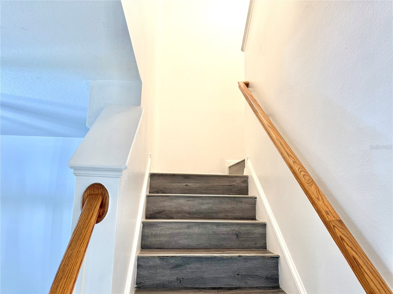 9544 Charlesberg Drive Tampa FL 33635 TB8477798 image16