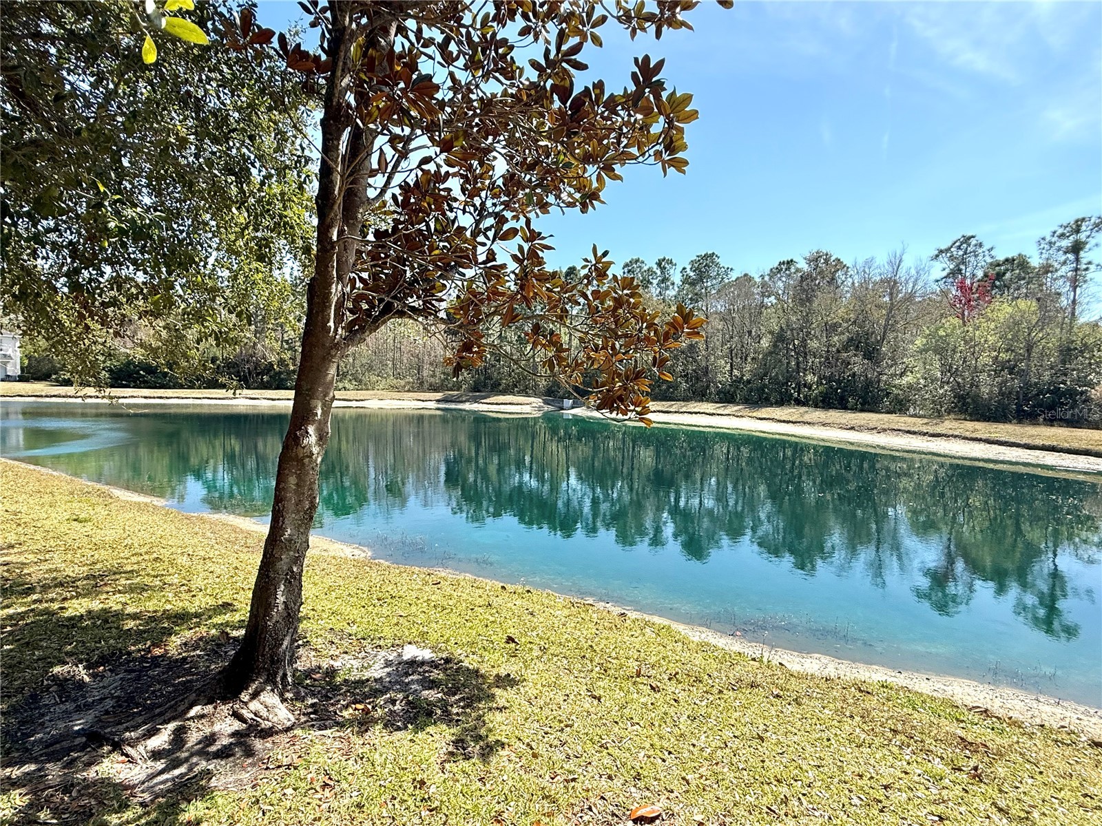 9544 Charlesberg Drive Tampa FL 33635 TB8477798 image33