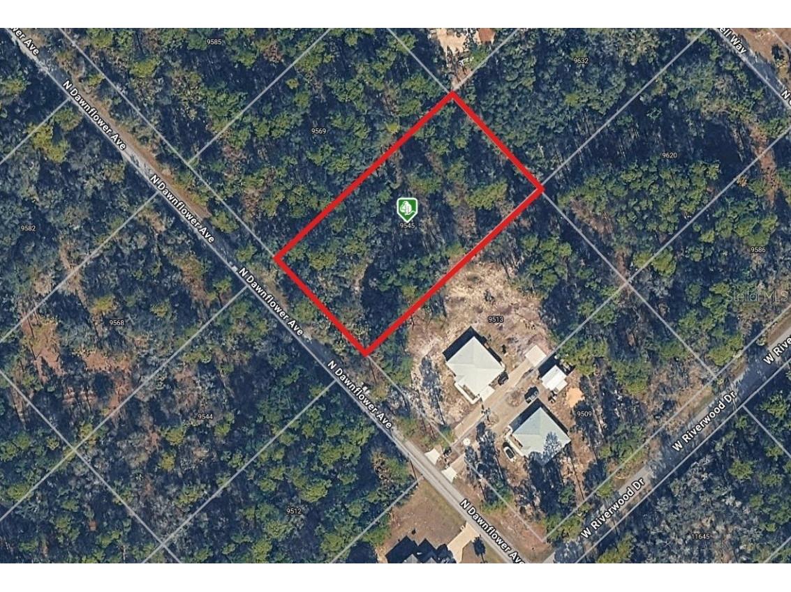 9545 N Dawnflower Avenue Crystal River FL 34428 TB8455250 image1