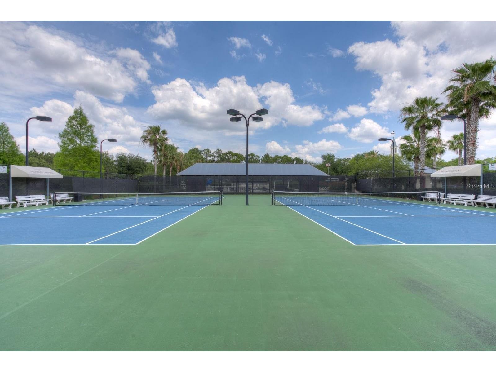 9545 W Park Village Drive Tampa FL 33626 TB8493431 image28