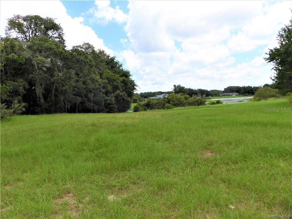 9546 E Baymeadows Drive Inverness FL 34450 OM725205 image1