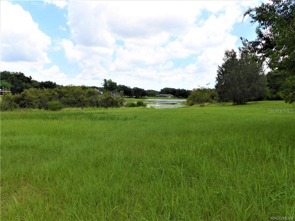 9546 E Baymeadows Drive Inverness FL 34450 OM725205 image2
