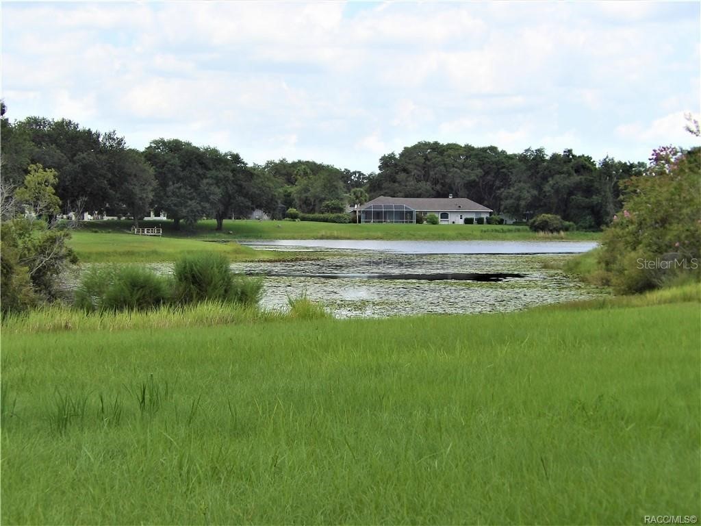 9546 E Baymeadows Drive Inverness FL 34450 OM725205 image3