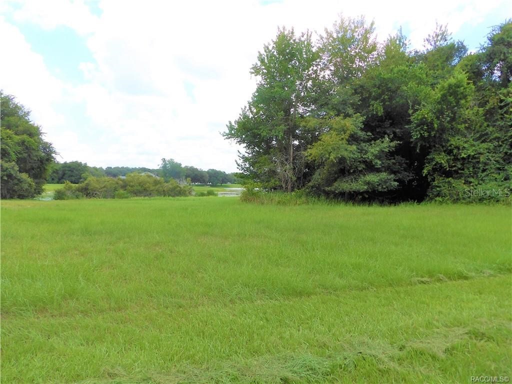 9546 E Baymeadows Drive Inverness FL 34450 OM725205 image5