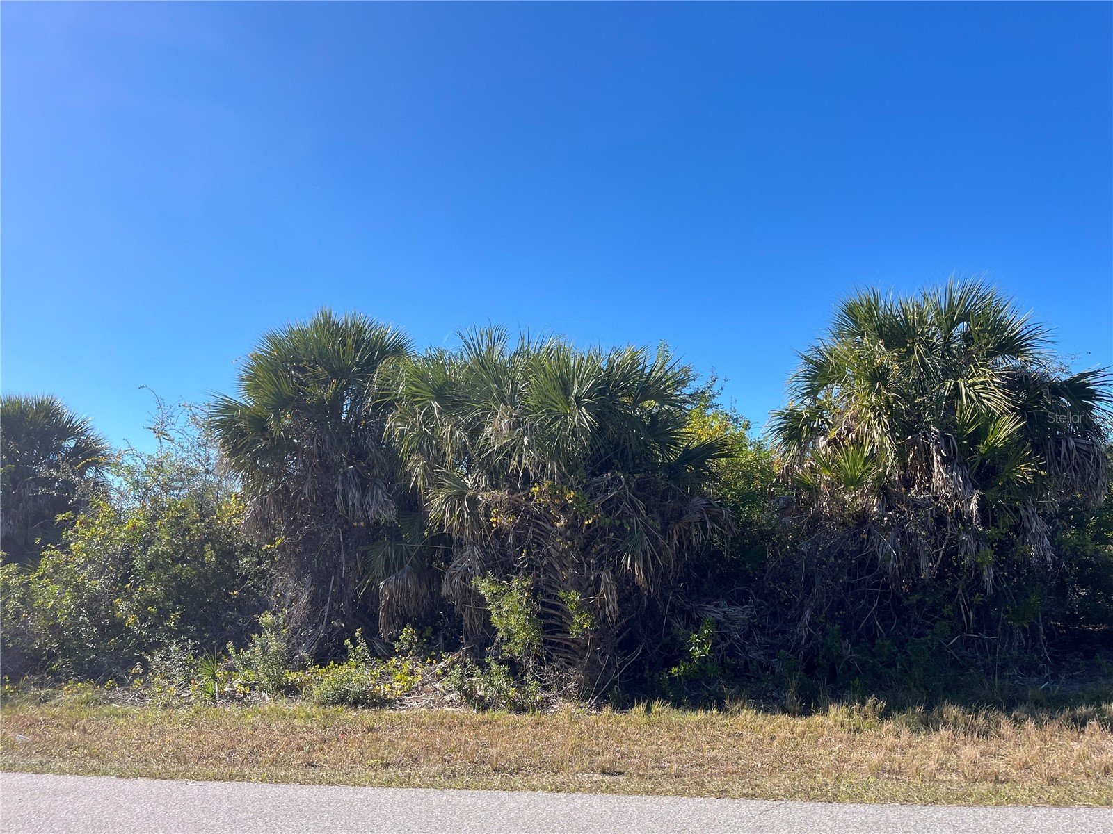 9546 Melody Circle Port Charlotte FL 33981 TB8461434 image2