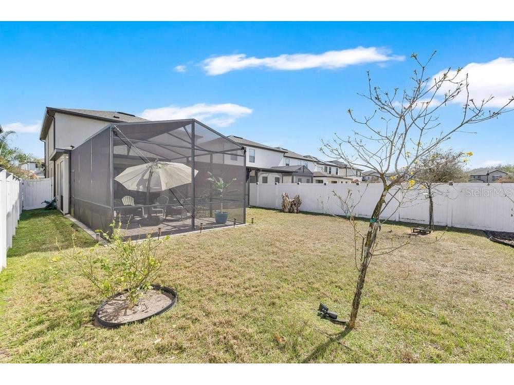 9547 Juniper Moss Circle Orlando FL 32832 O6385791 image24