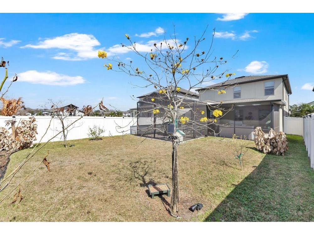 9547 Juniper Moss Circle Orlando FL 32832 O6385791 image25