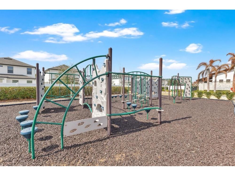 9547 Juniper Moss Circle Orlando FL 32832 O6385791 image37