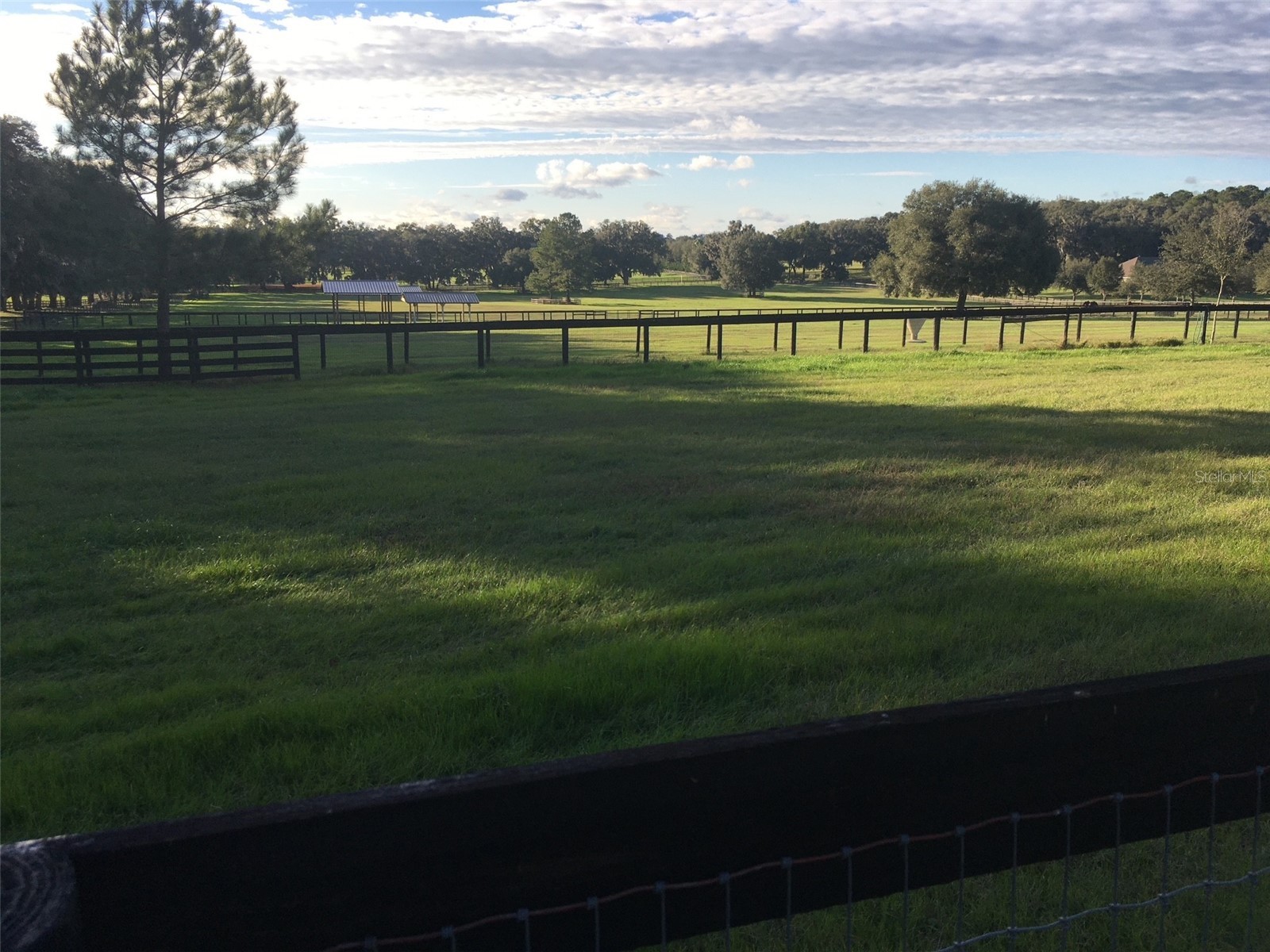 9549 NW 80th Avenue Ocala FL 34482 OM717931 image10