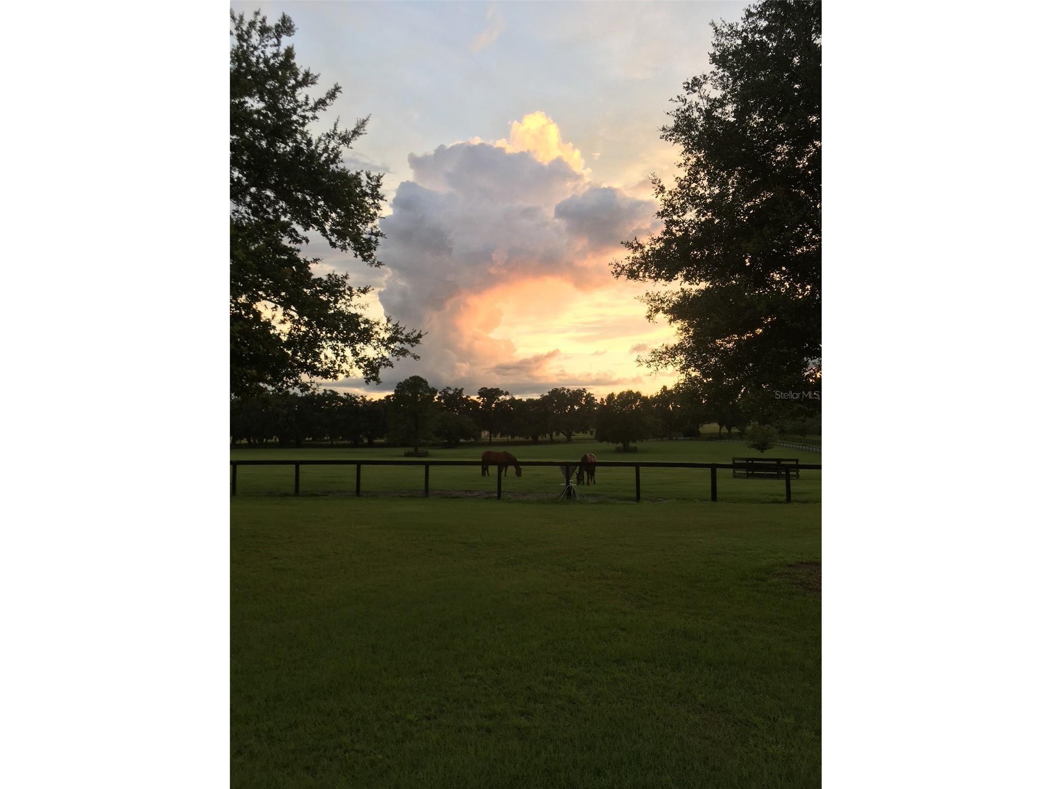 9549 NW 80th Avenue Ocala FL 34482 OM717931 image52