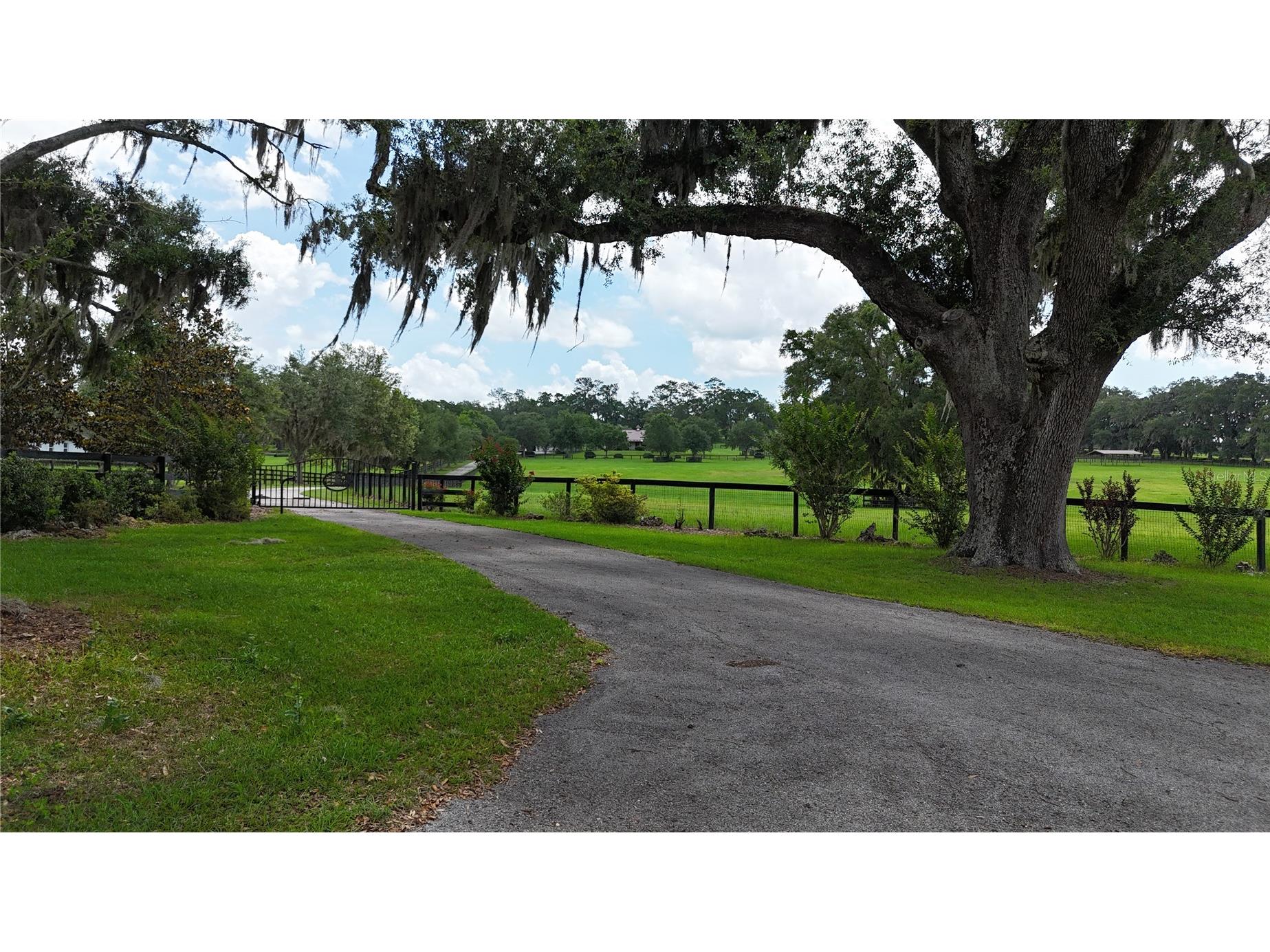 9549 NW 80th Avenue Ocala FL 34482 OM717931 image53