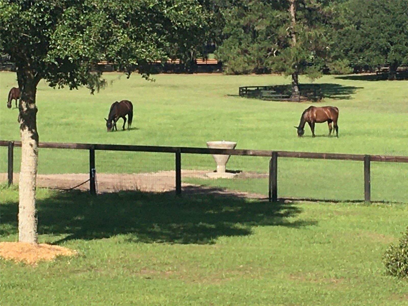 9549 NW 80th Avenue Ocala FL 34482 OM717931 image6