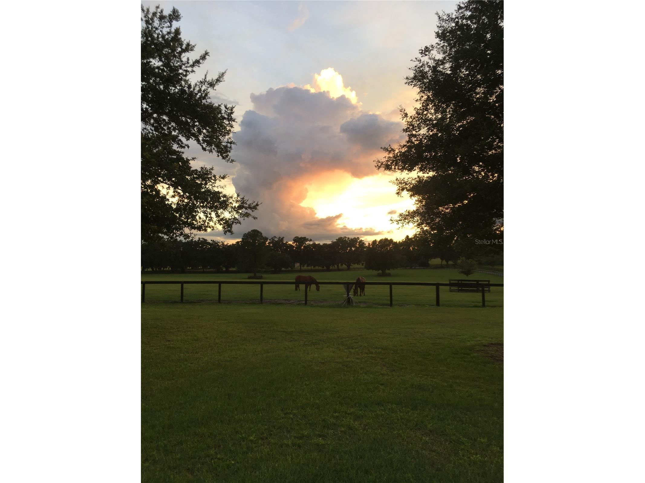 9549 NW 80th Avenue Ocala FL 34482 OM717931 image7