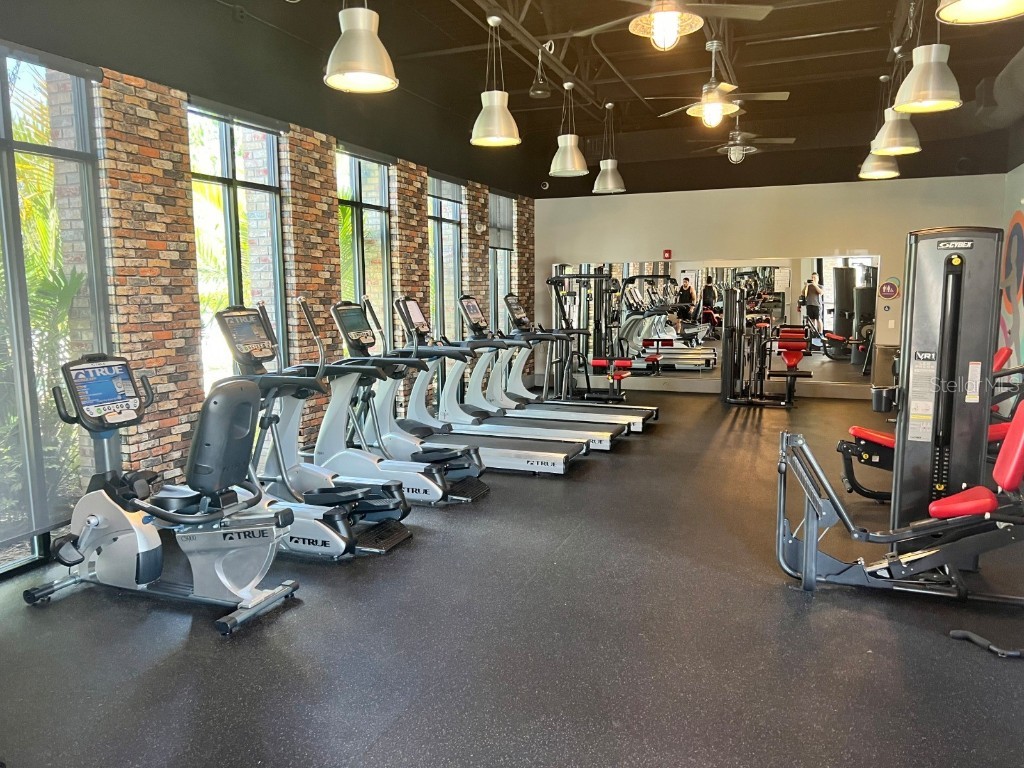 955 Conch Road Davenport FL 33896 S5139786 image15