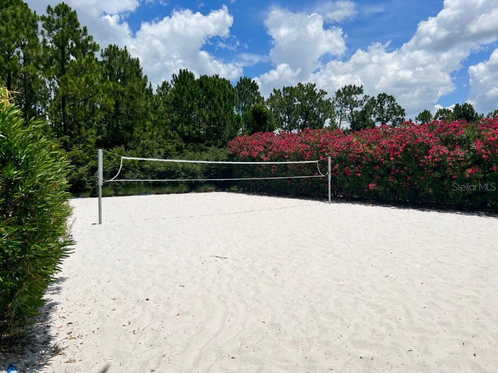 955 Conch Road Davenport FL 33896 S5139786 image20