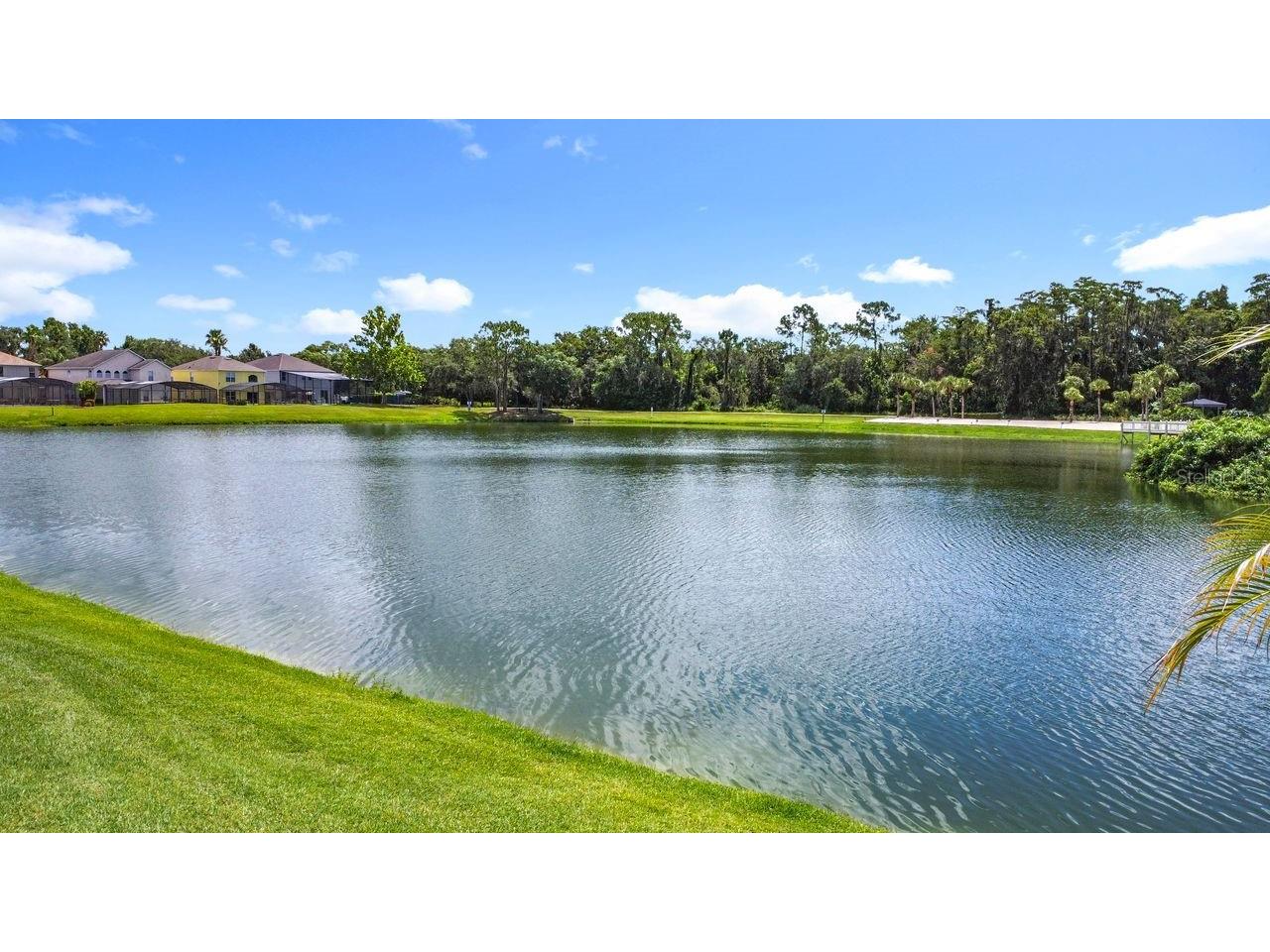 955 Lake Berkley Drive Kissimmee FL 34746 - LAKE BERKLEY S5131631 image43