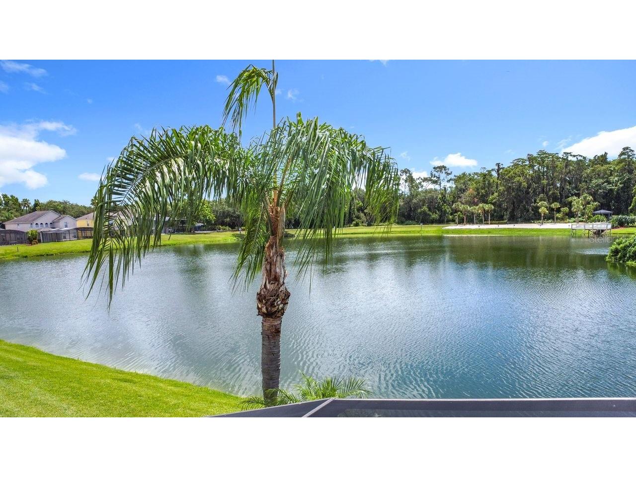 955 Lake Berkley Drive Kissimmee FL 34746 - LAKE BERKLEY S5131631 image46