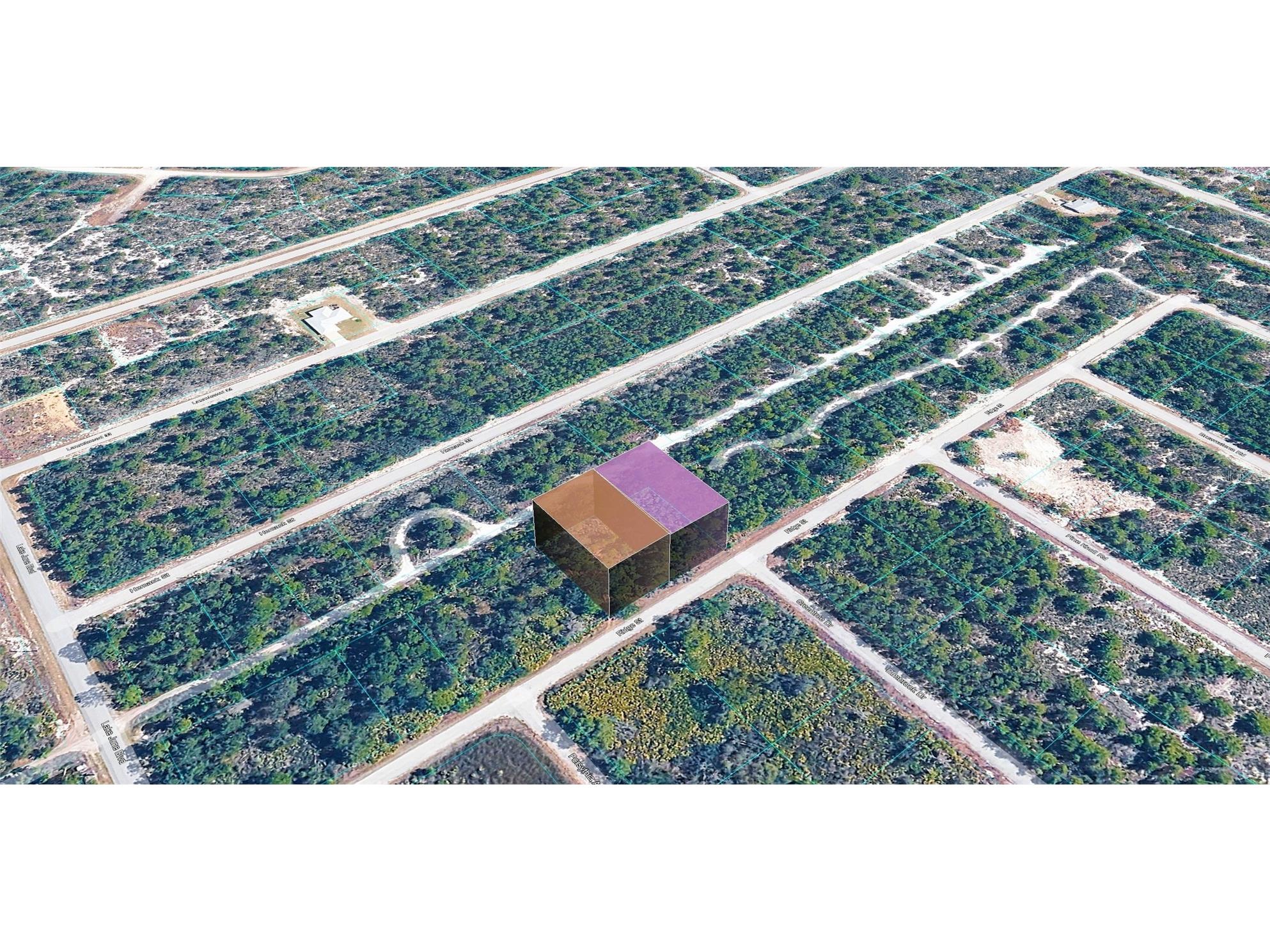 955 Ridge Street Lake Placid FL 33852 TB8510725 image1