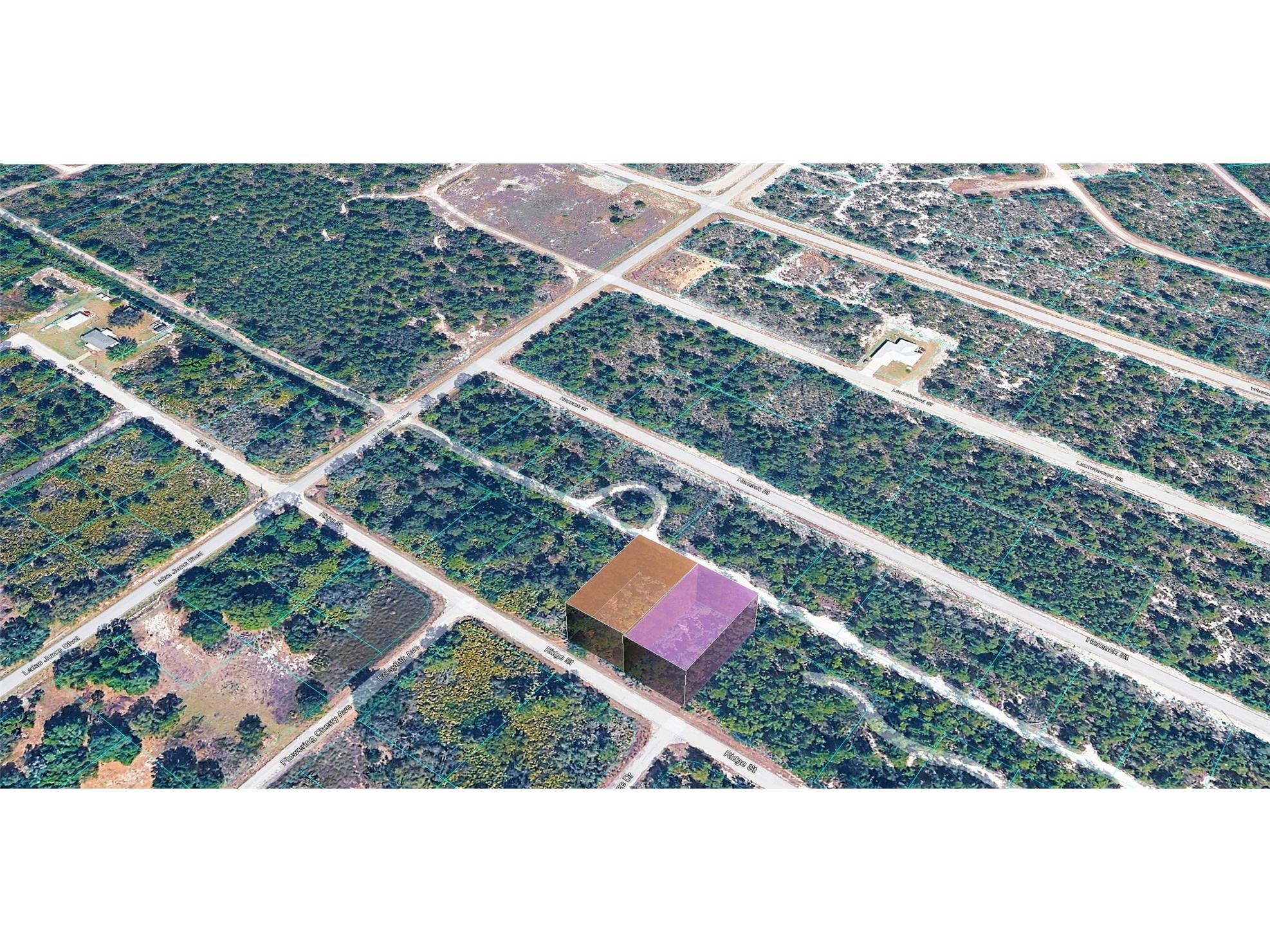 955 Ridge Street Lake Placid FL 33852 TB8510725 image2