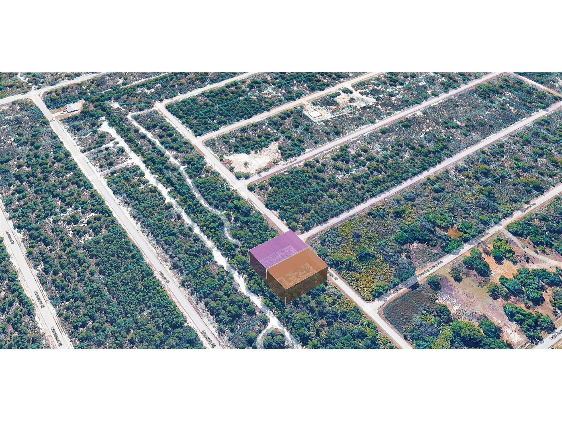 955 Ridge Street Lake Placid FL 33852 TB8510725 image4